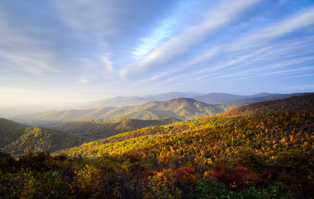 dentist in Rockingham County